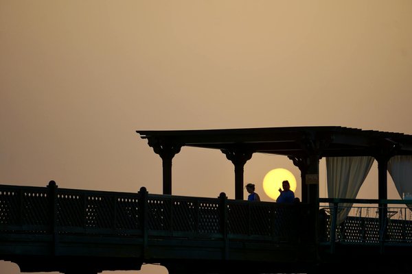 Quels sont les meilleurs spots pour observer les oiseaux migrateurs en Camargue, France?