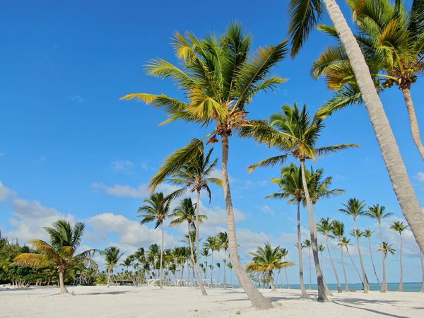 Quelles sont les meilleures techniques pour camper en région de haute altitude en hiver?